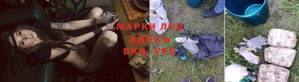 стафф Беломорск